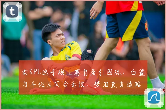 前KPL选手线上赛首秀引围观，白鲨与斗化马同台竞技，梦泪直言边路交锋决定胜负__br_