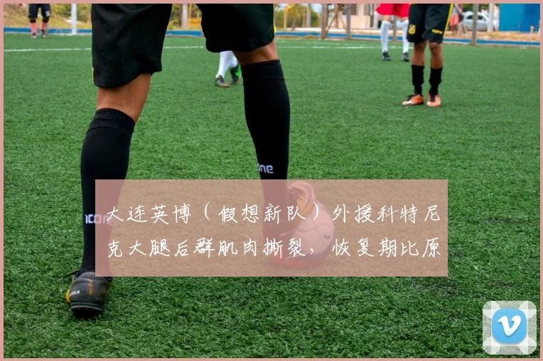 大连英博（假想新队）外援科特尼克大腿后群肌肉撕裂，恢复期比原计划延长30%